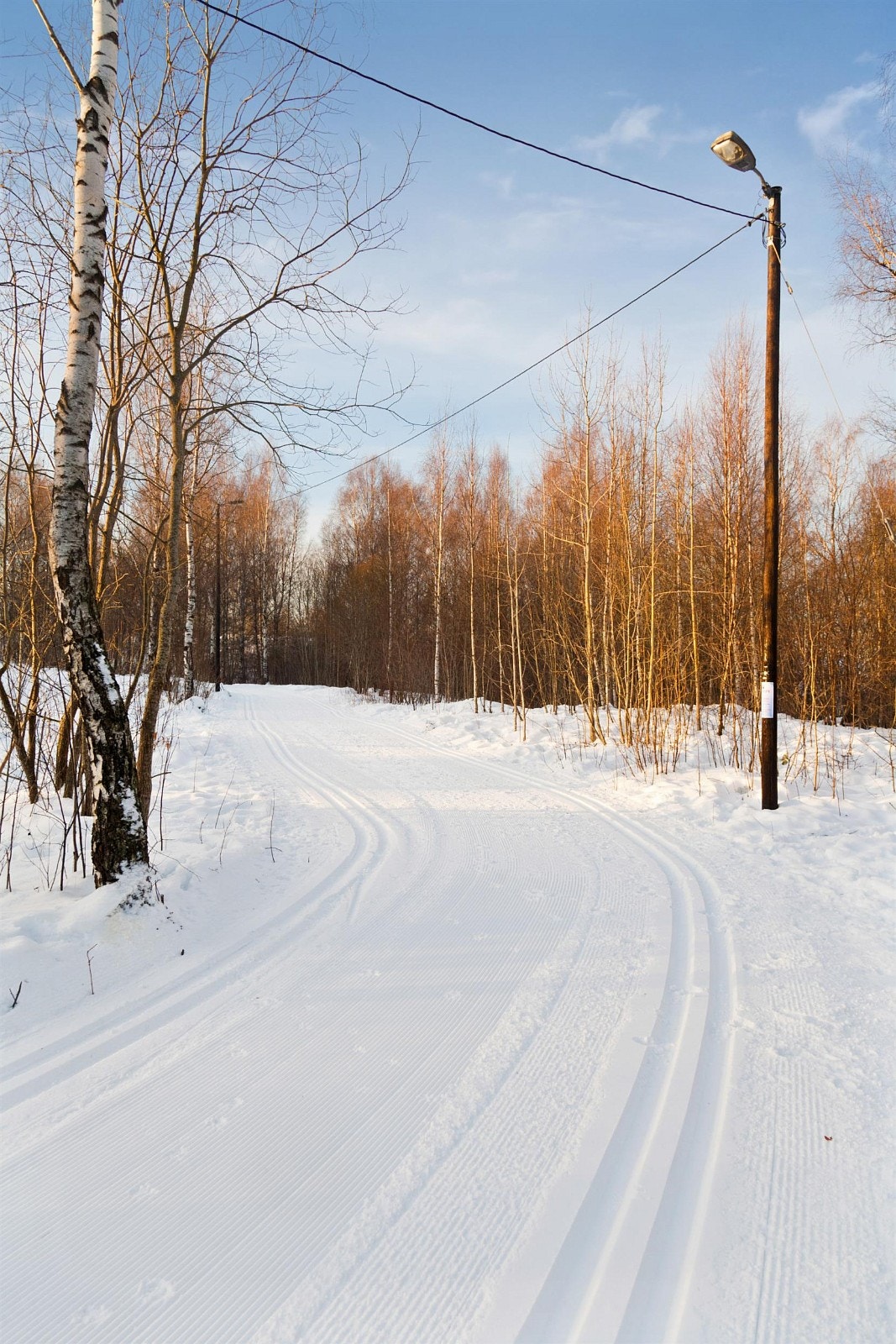 Her kan du ta på deg skiene og gå fra blokken og til Bogstadvannet og videre inn i marka Galleribilde
