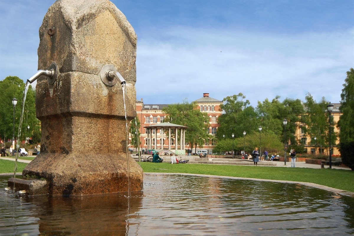 Idylliske Birkelunden i umiddelbar nærhet Galleribilde
