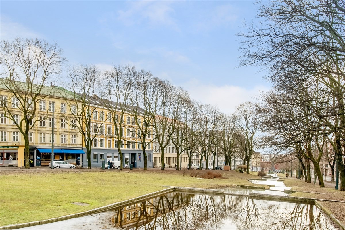 Nærområde Galleribilde
