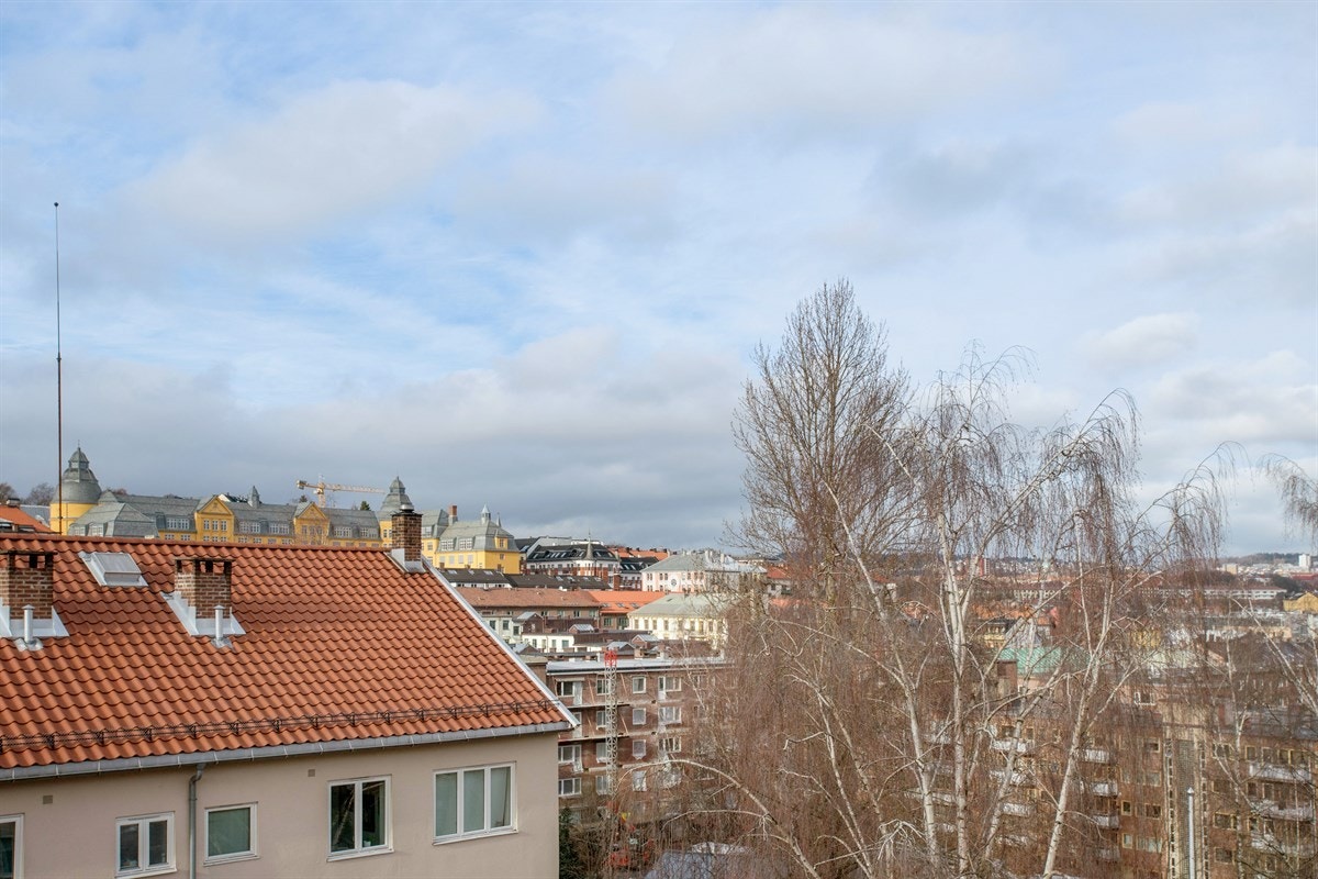 Utsikt Galleribilde