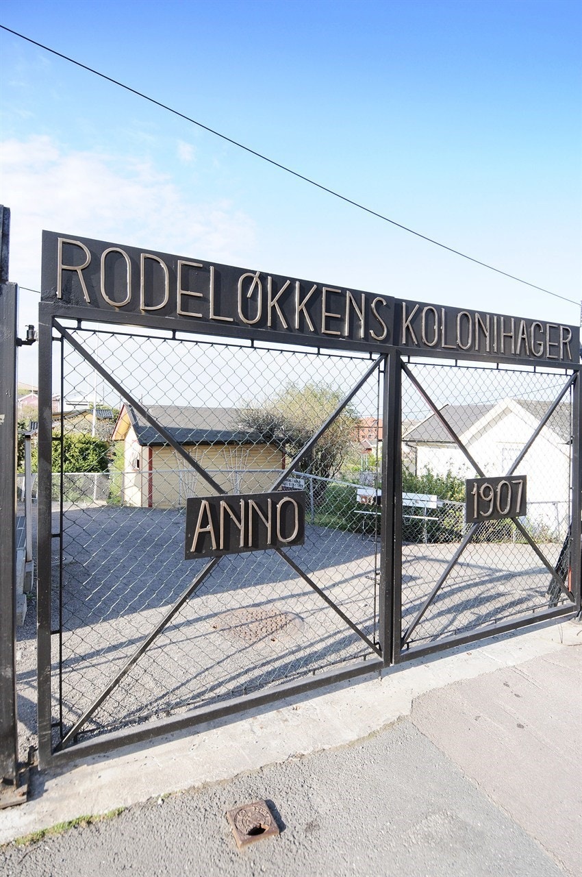 Den idylliske kolonihagen på Rodeløkka Galleribilde