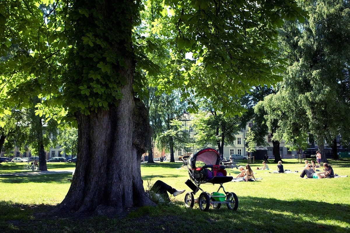 Sofienbergparken Galleribilde