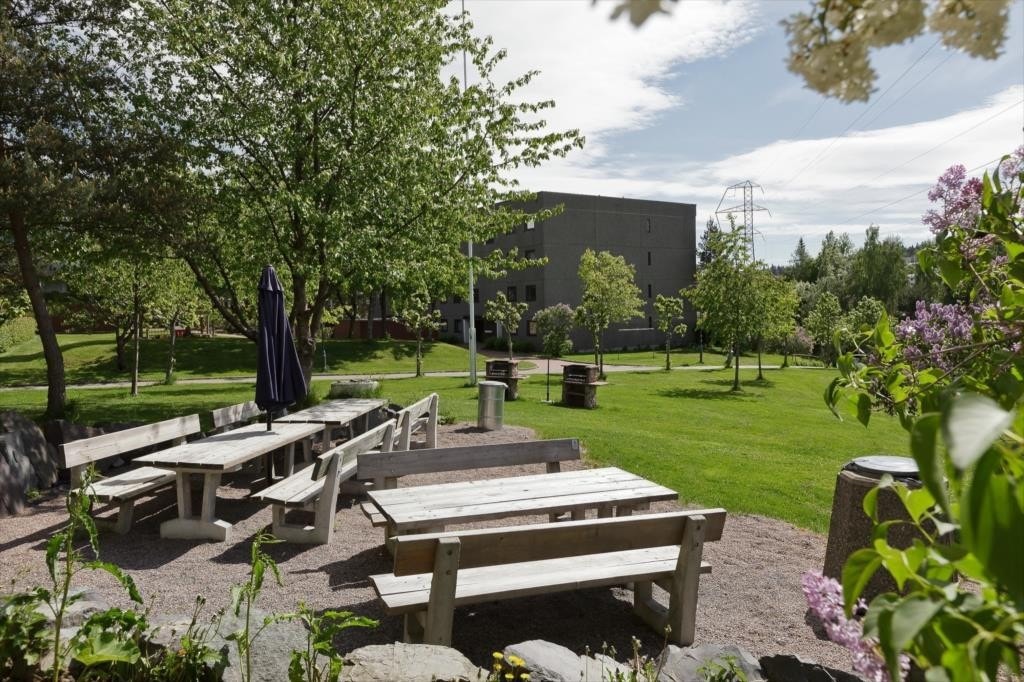 Sommerbilde av borettslagets fellesområde. Galleribilde