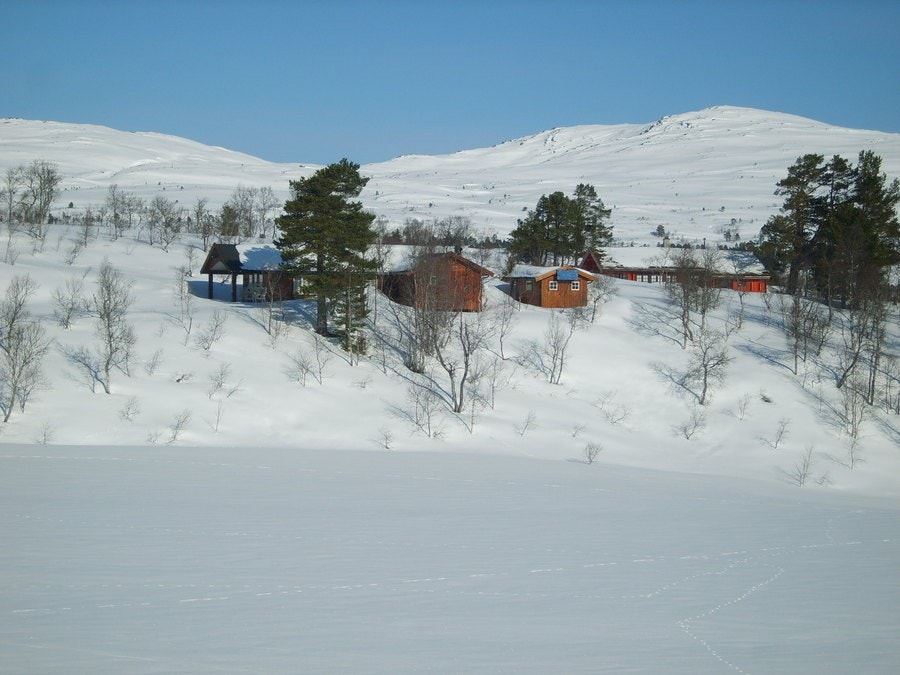 Tørsetmarka hytteområdet Galleribilde