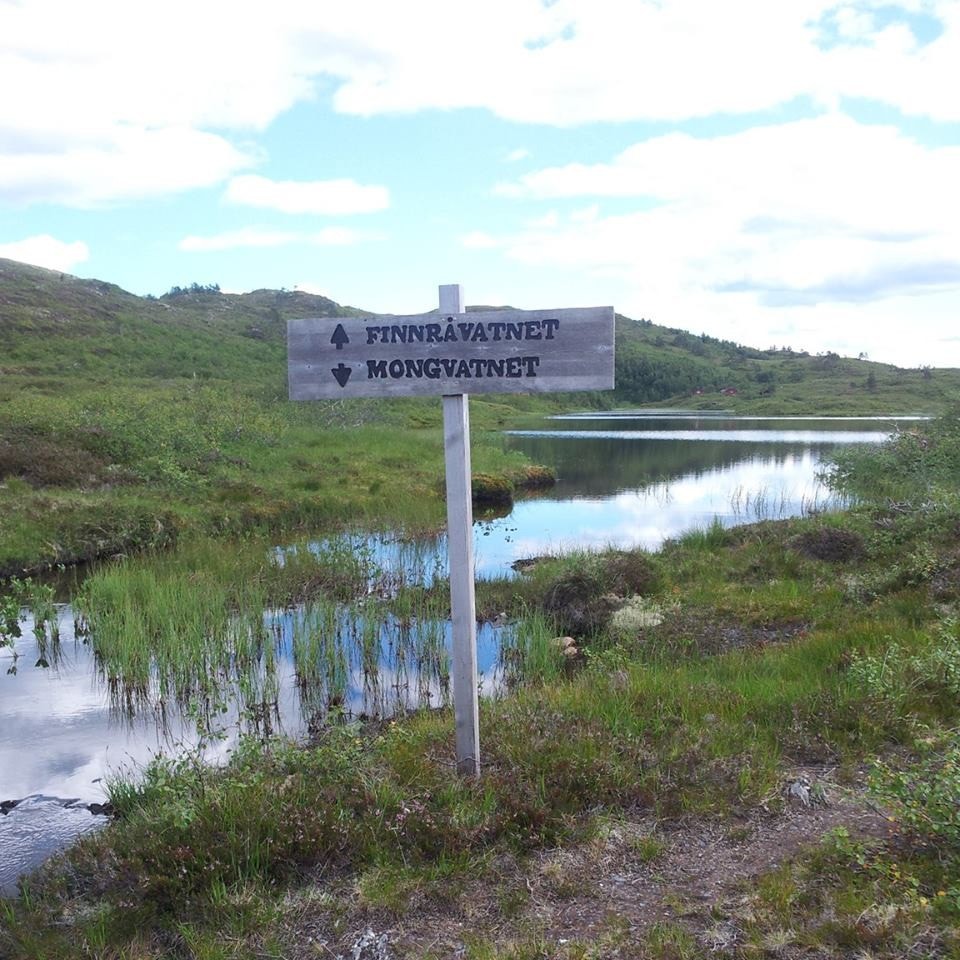 Flotte turområder for hele familien Galleribilde