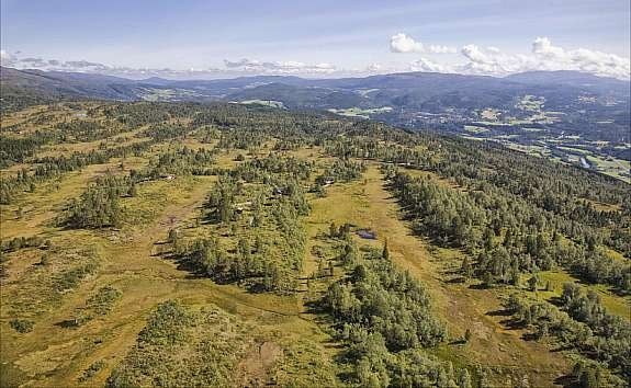 Oversiktbilde Tørsetmarka hytteområdet Galleribilde
