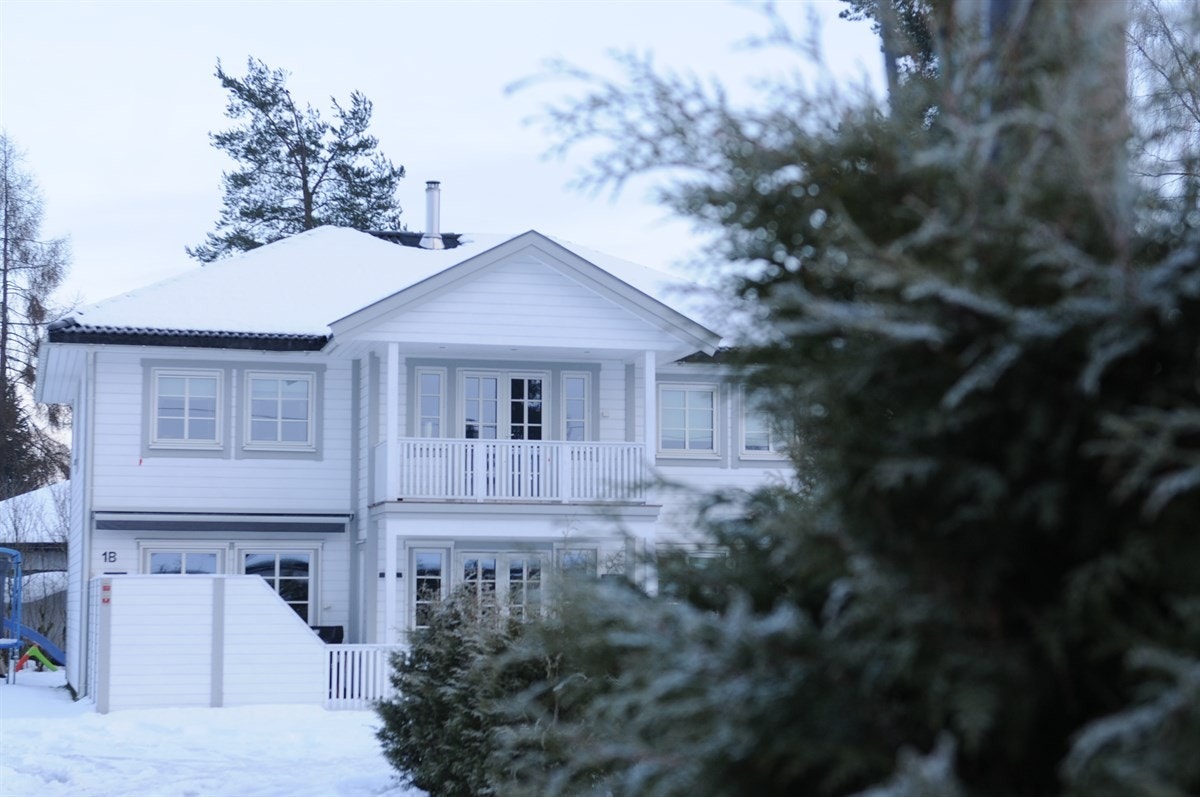 Koselig beliggenhet med tuja mot naboen Galleribilde