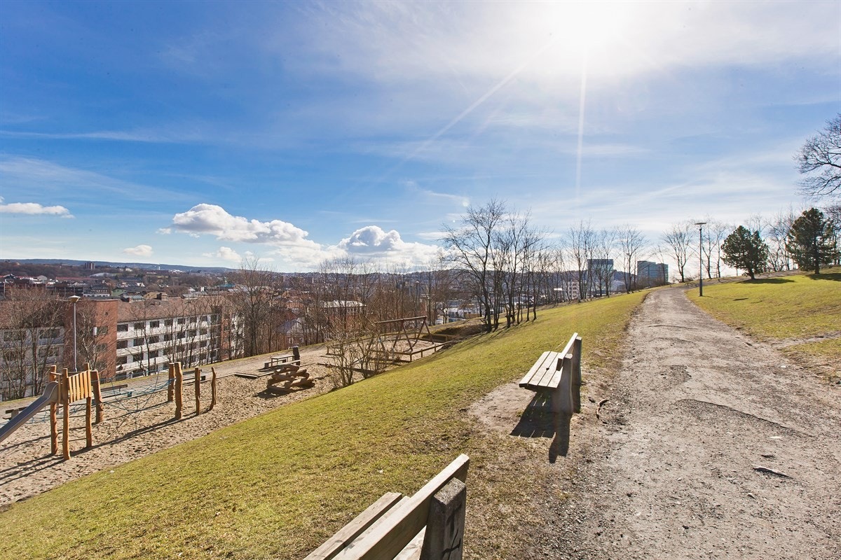 Området Galleribilde