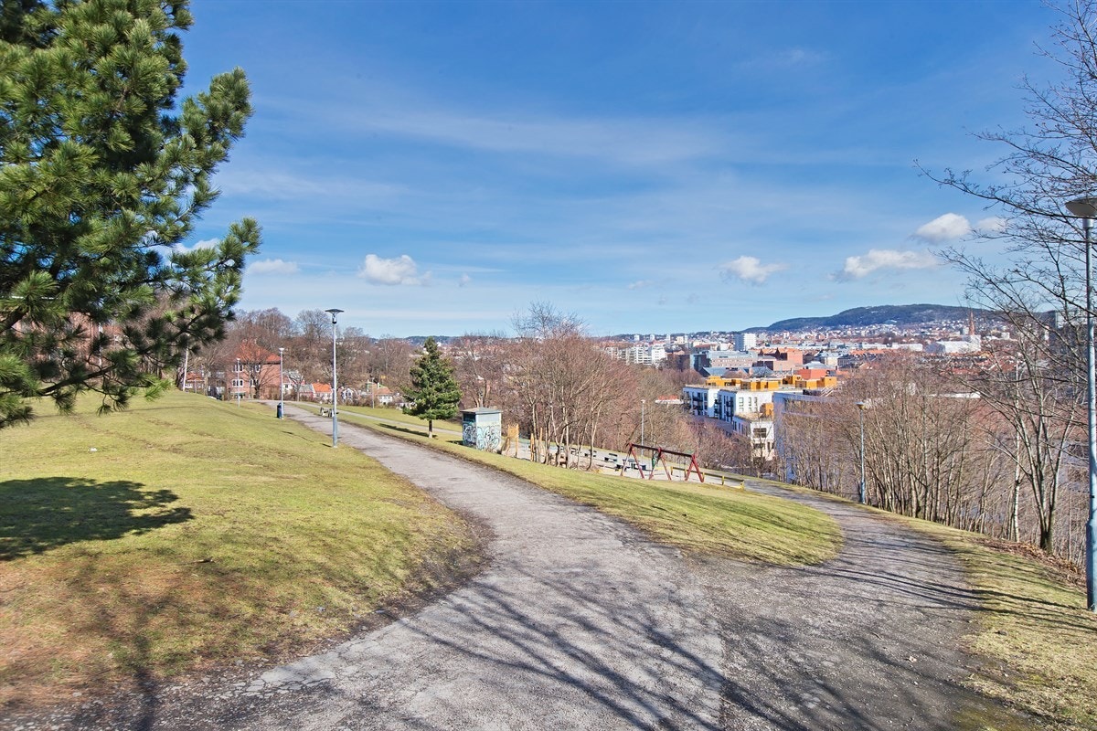 Området rundt byr på flotte friområder Galleribilde