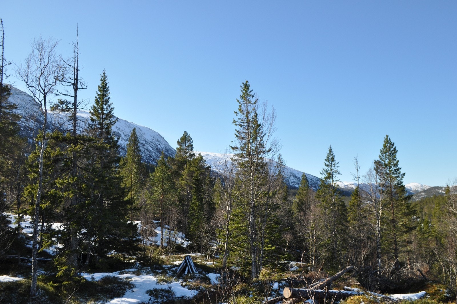 Utsikt mot sør-vest fra tomt 26 Galleribilde