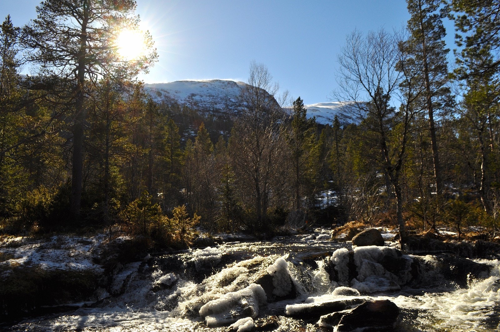 Kommunen og området Vassdølin ligger i har rikelig med fjell og fiskevatn, skogsområder og dalfører med elver og bekkefar Galleribilde