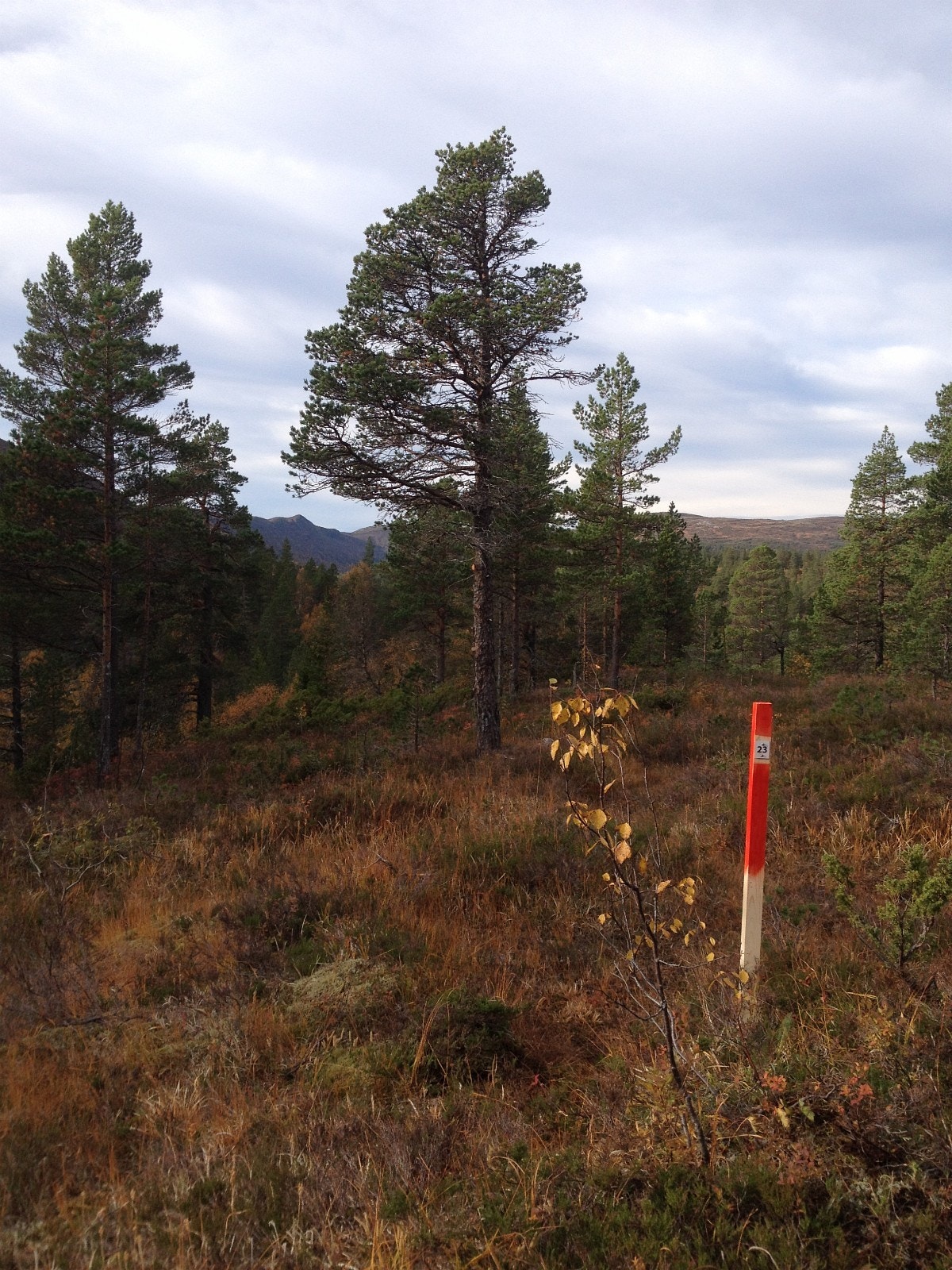 Utsikt mot vest fra tomt 23 Galleribilde