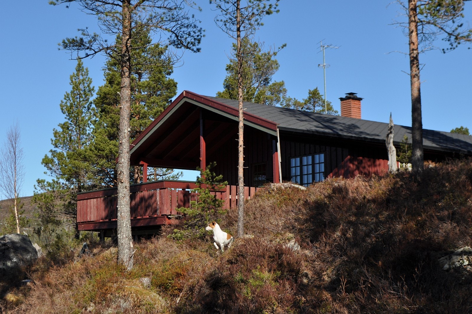 Tomtene tilbys uten byggeklausul. Det betyr at du kan bruke god tid på planlegging, valg av hyttemodell eller tegning av drømmehytta Galleribilde