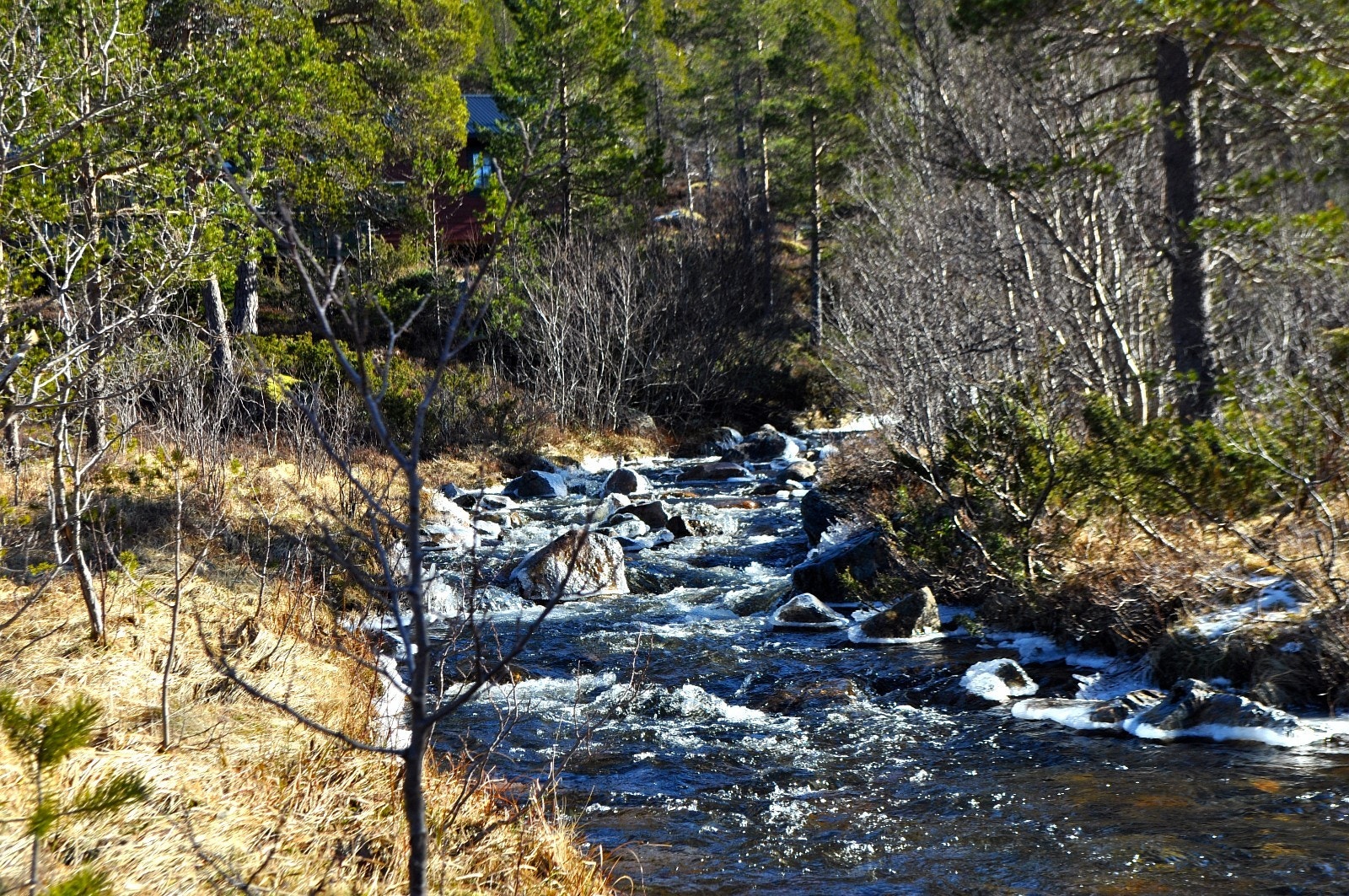 Velkommen til Vassdølin hytteområde! Galleribilde