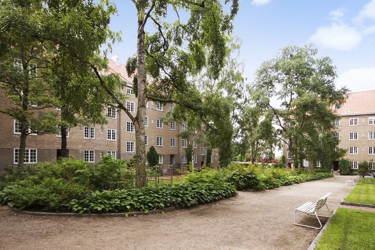 Sommerbilde av bakgård Galleribilde