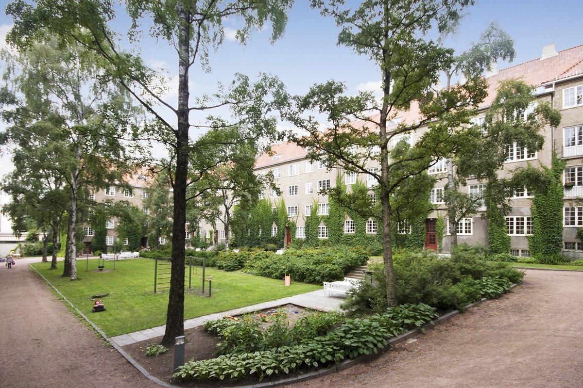 Sommerbilde av bakgård Galleribilde