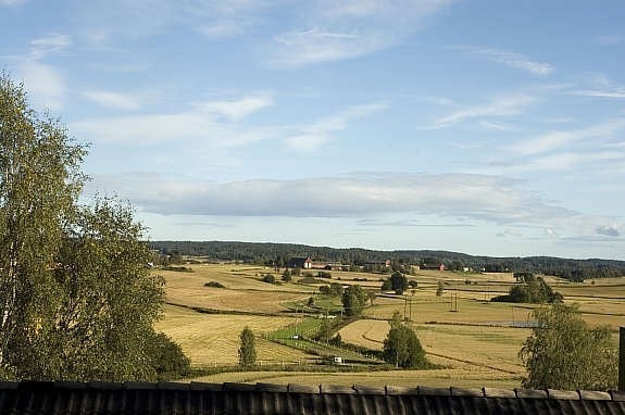 Utsikt fra terrassen Galleribilde