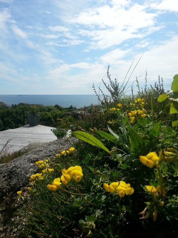 IMG-20130709-WA0001 Galleribilde