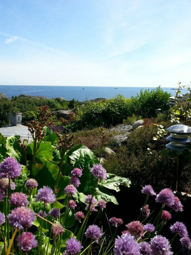 IMG-20130625-WA0000 Galleribilde