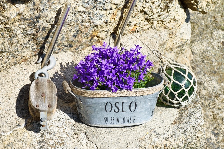 Omradebilde Galleribilde