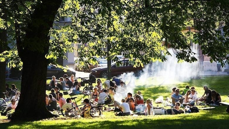 Sommerdag i Sofienbergparken Galleribilde