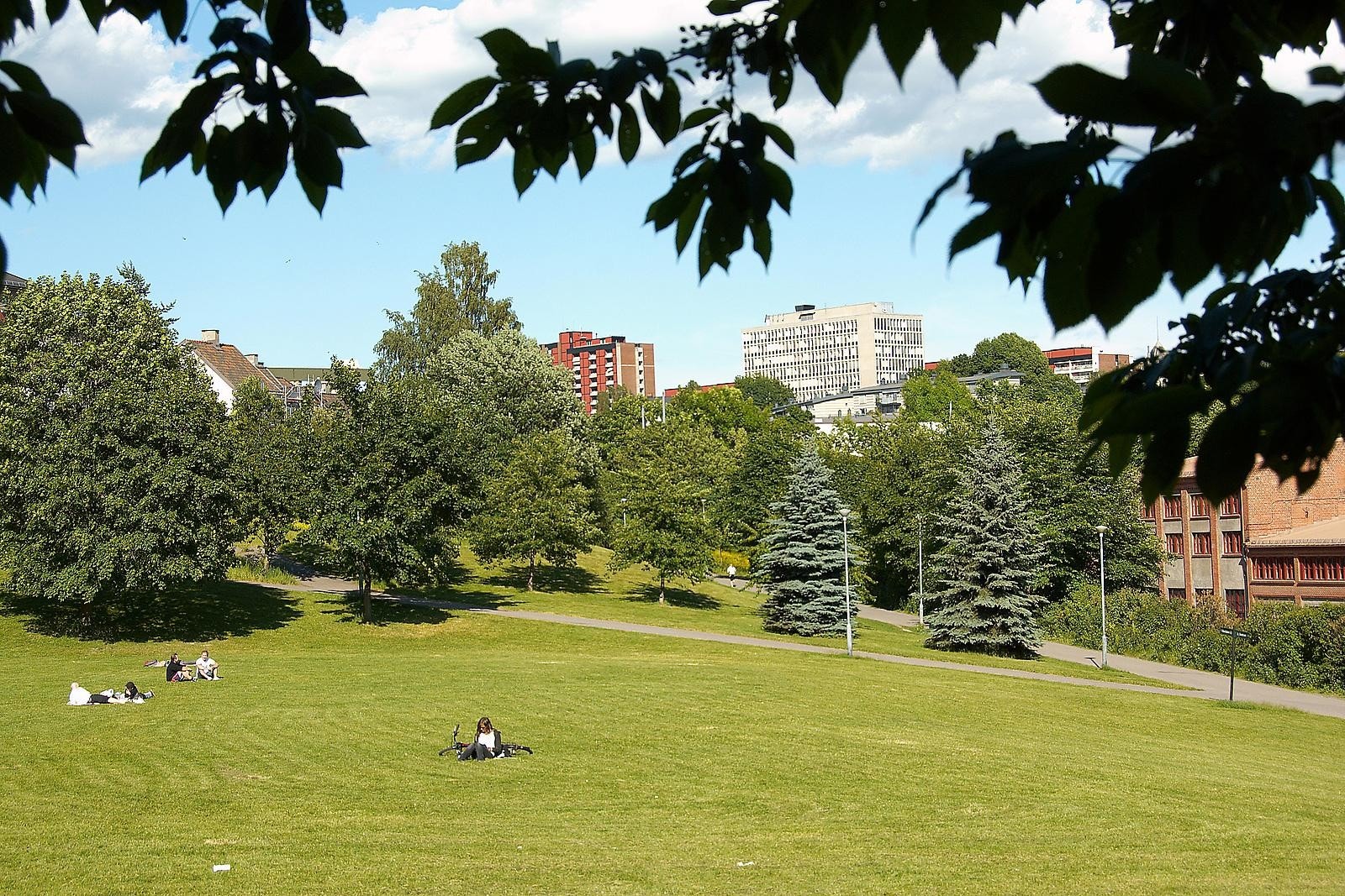 Bjølsenparken Galleribilde