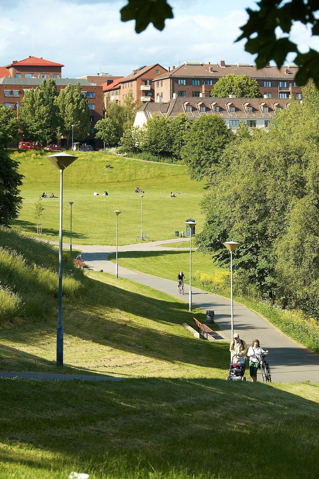 Fine turområder. Galleribilde