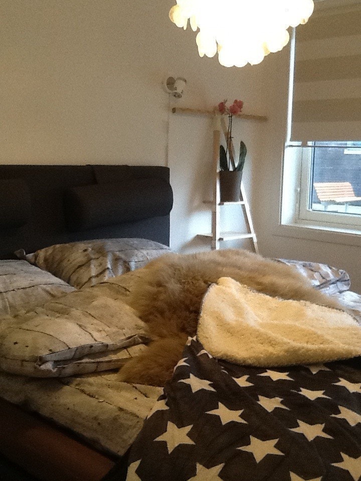 Dobbeltseng nydelig! Galleribilde