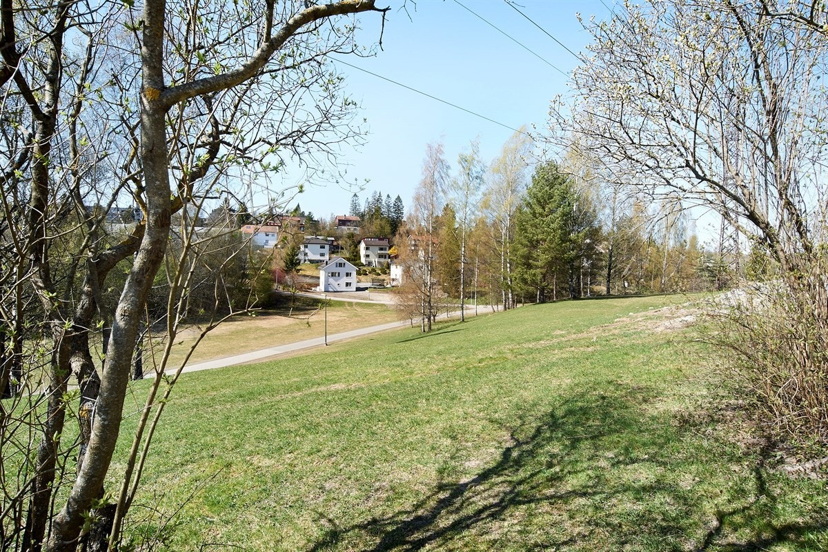 Flere turmuligheter i området. Galleribilde