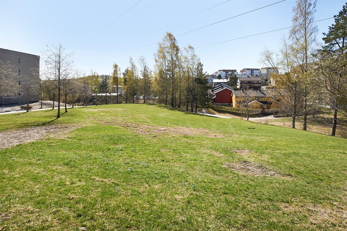 Flere turmuligheter i området. Galleribilde