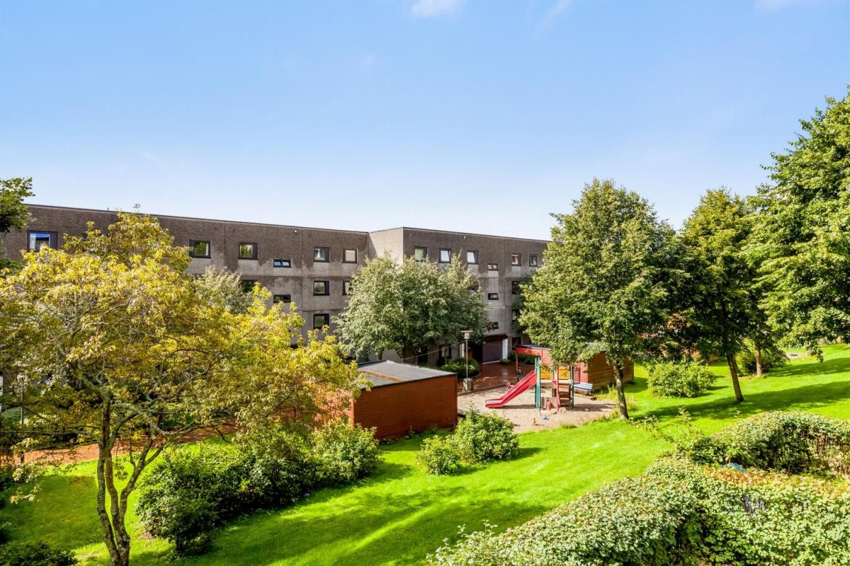 Utsikt fra vereandaen i en solrik dag. Før drenneringsarbeidet var påbegynt. Galleribilde