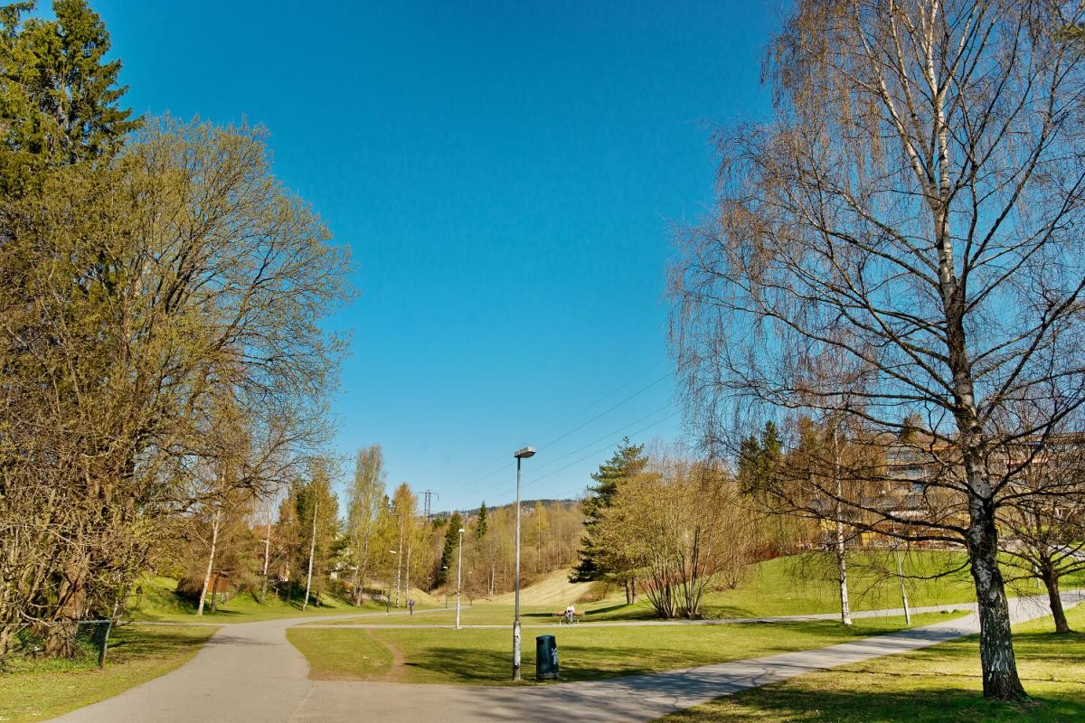 Fantastiske tur- og treningsmuligheter i Mærradalen som fører videre opp mot Bogstad og marka. Gå bilfritt til Røa sentrum Galleribilde