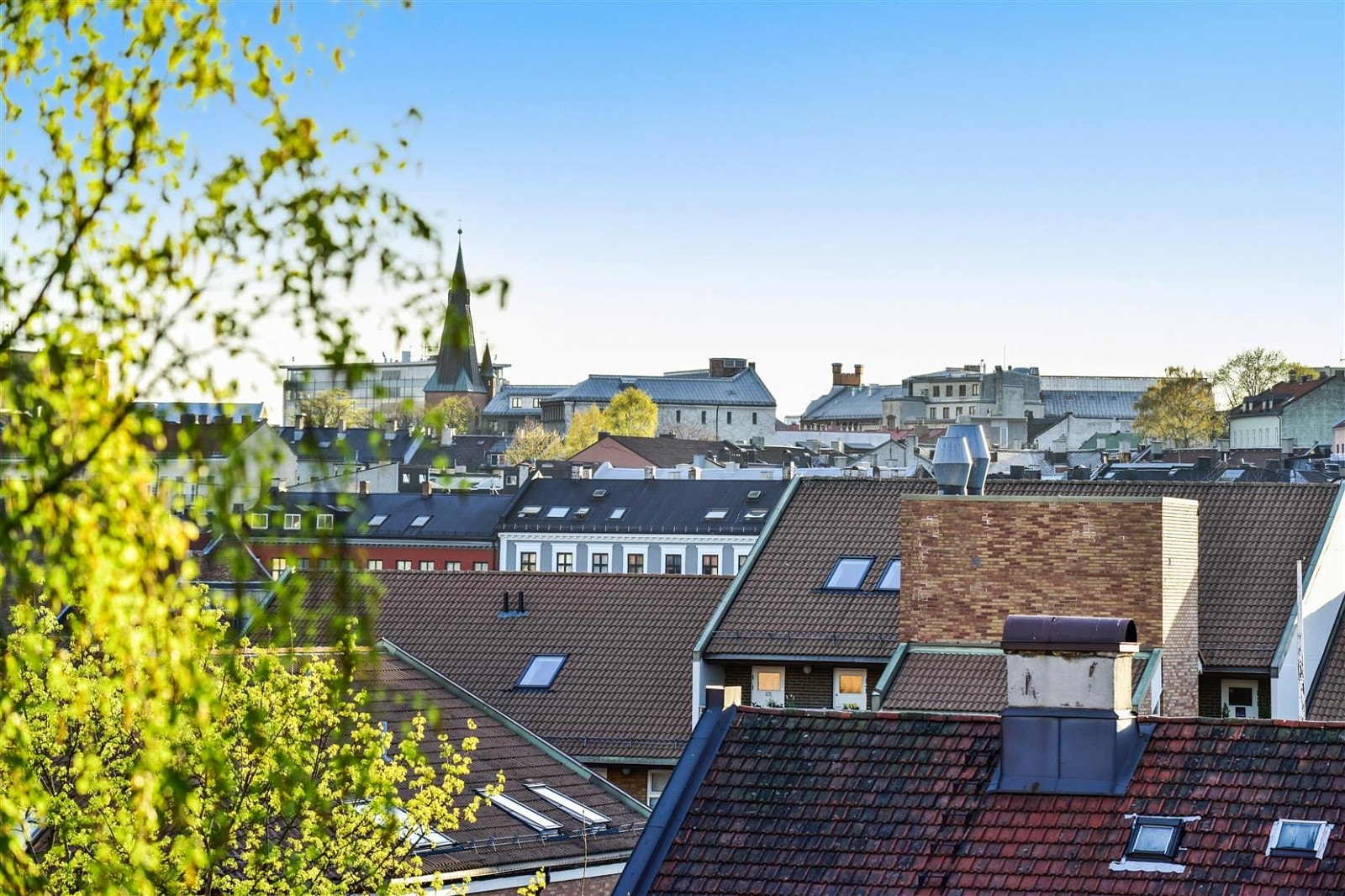 ...herlig utsikt. Galleribilde