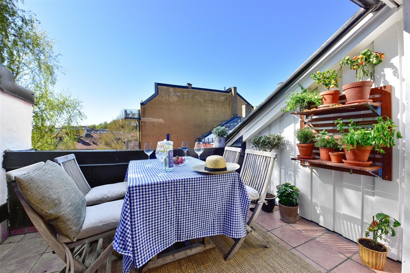 ...med optimale solforhold og kveldssol. Galleribilde