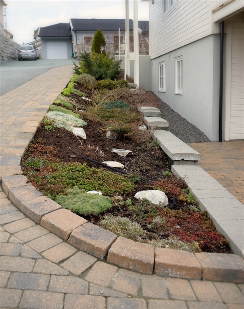 Etablerte lettstelte staudebed på eiendommen Galleribilde