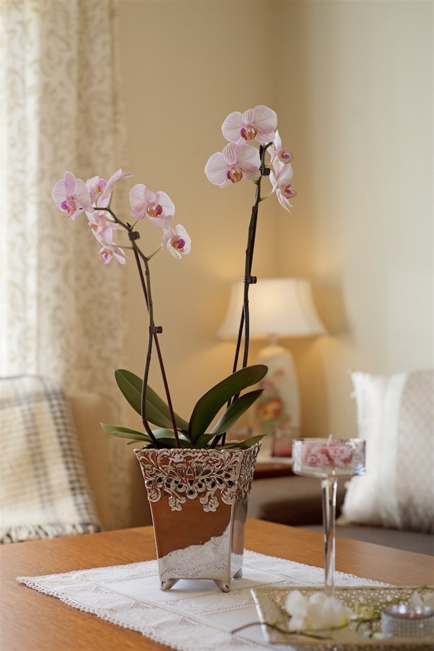 Detaljbilde stue 1. etg Galleribilde