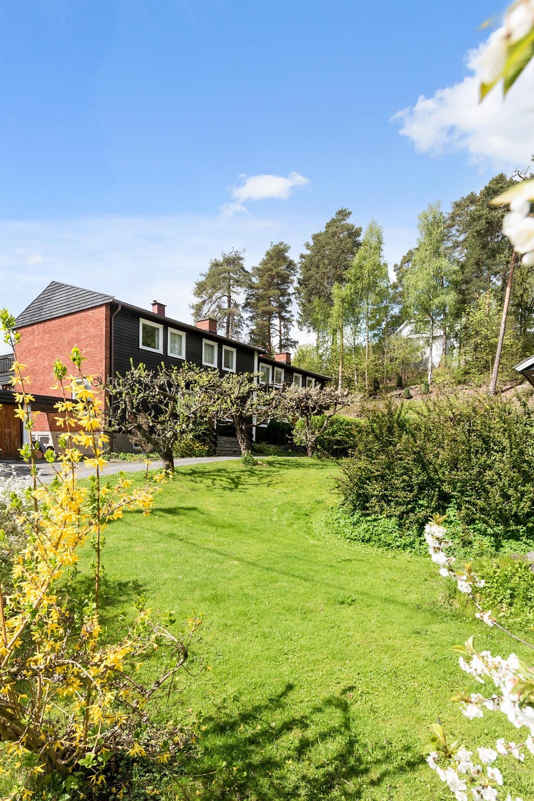 Grønne omgivelser. Galleribilde