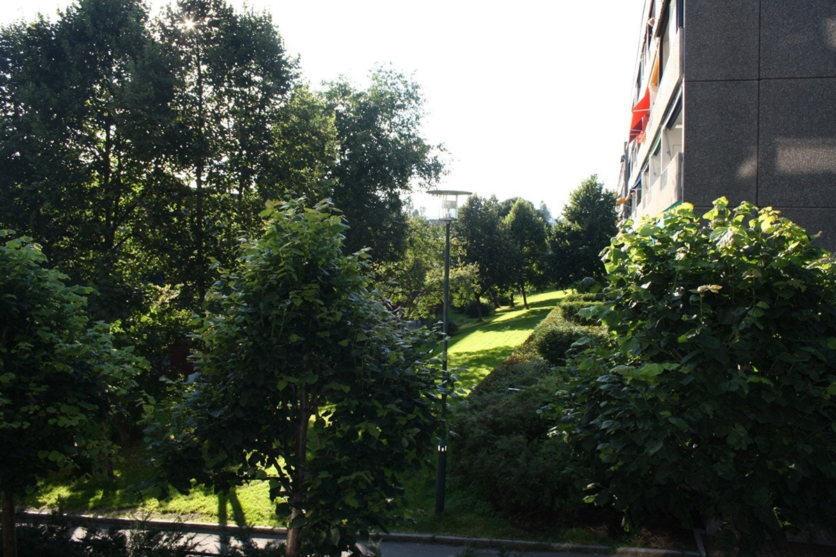 Utsyn fra balkongen mot fellesområdet (sommerbilde) Galleribilde