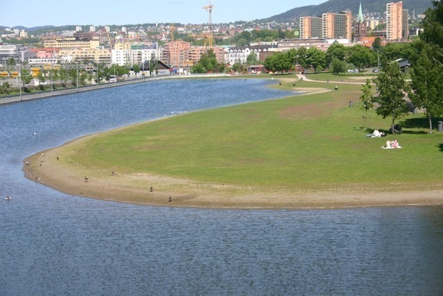Steinkastavstand til Middealderparken. Galleribilde