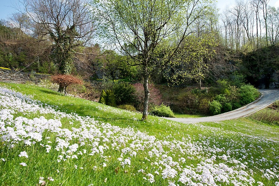 Store grøntareal - usjenerte og naturskjønne omgivelser Galleribilde