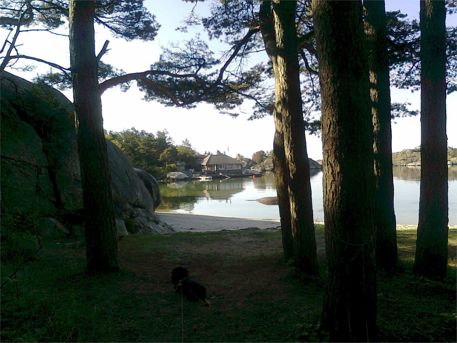 Her ser man hytten fra motsatt side av bukta Galleribilde