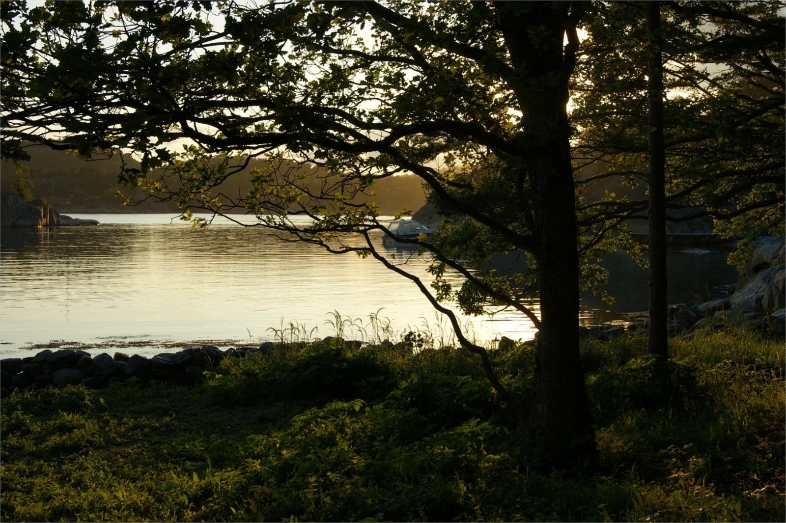 Idylliske også på tidlig kveld Galleribilde