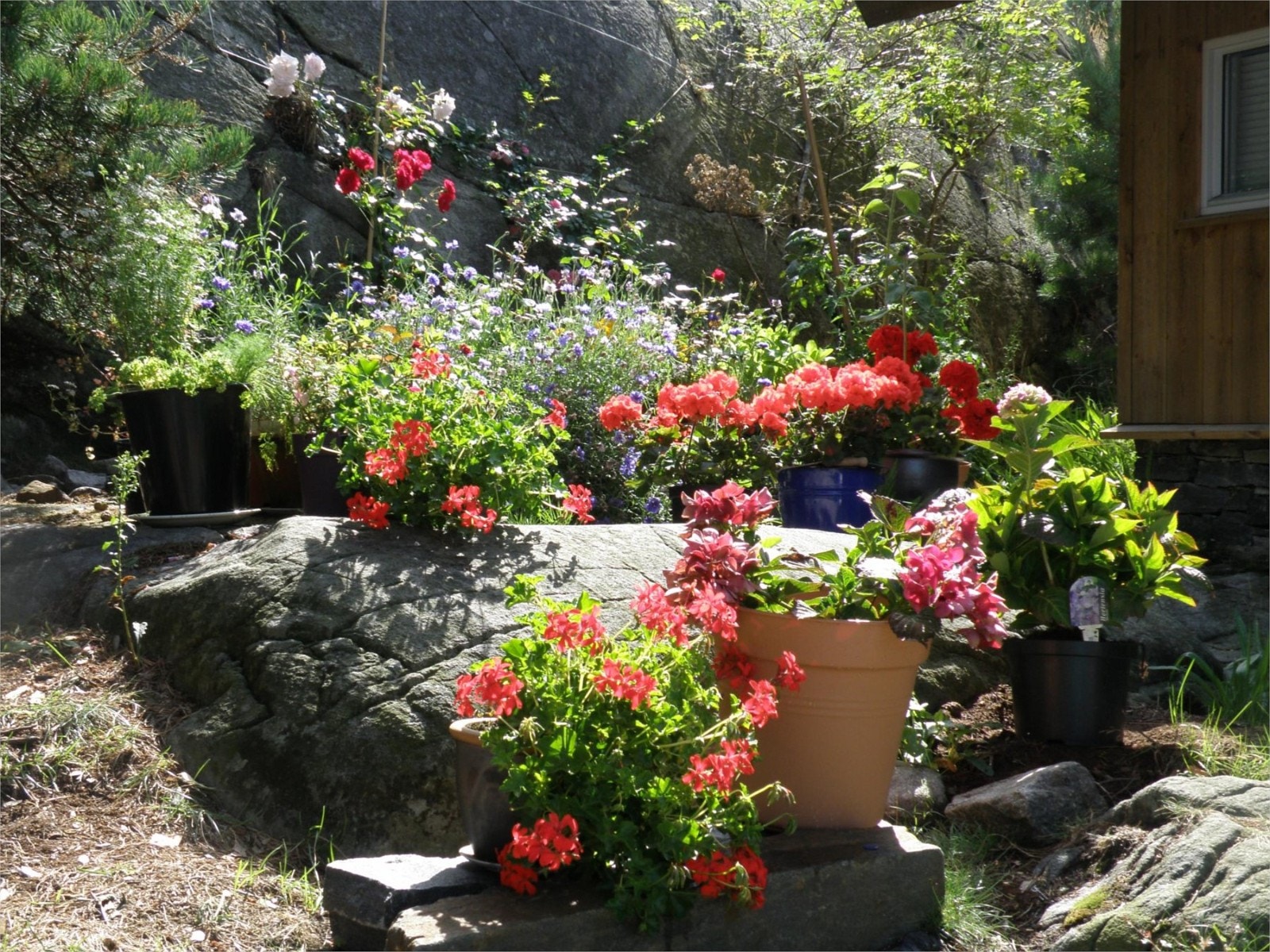 Eier har en lettstelt hage med mye krukker Galleribilde