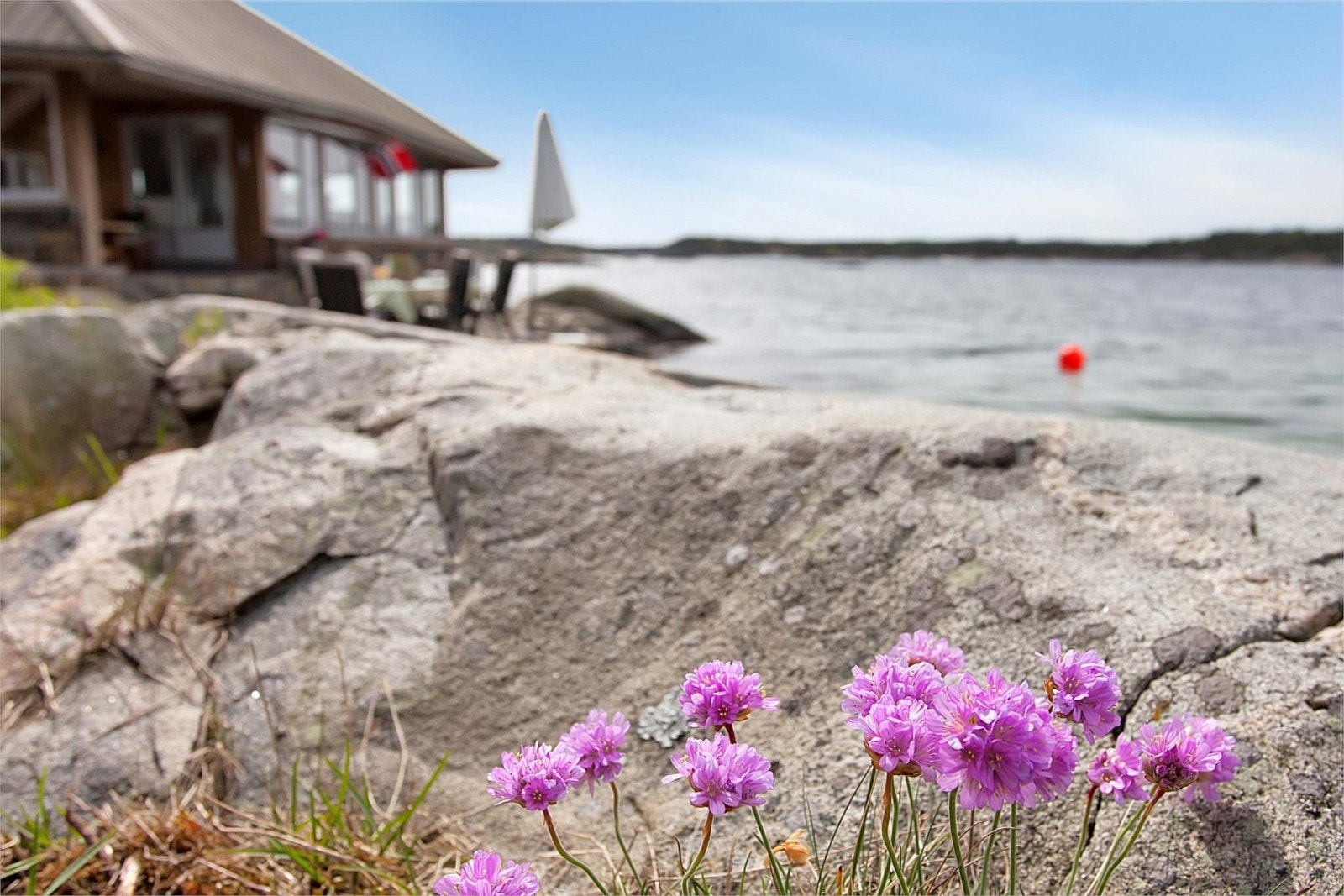 ekte idyll ... Galleribilde