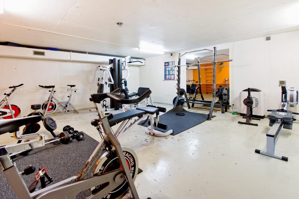 Felles trimrom Galleribilde