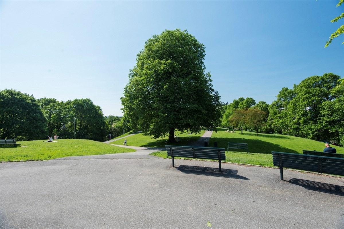 Områdebilde - Stensparken Galleribilde