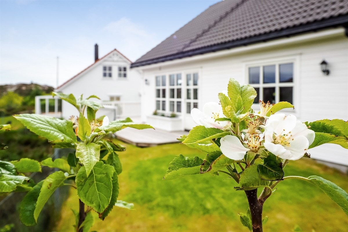 Proaktiv: Kan dette være drømmeboligen? Fin og flat hage som er enkel å vedlikeholde. Galleribilde