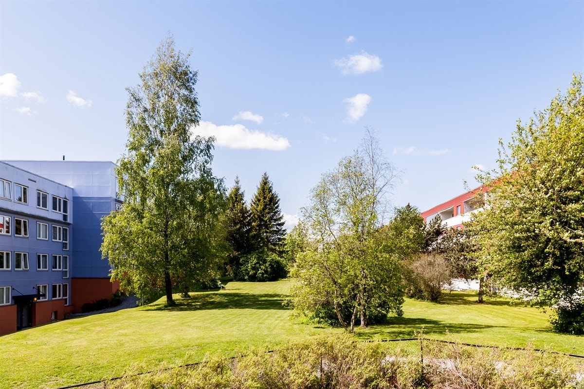 Pent, grønt utsyn fra balkongen Galleribilde