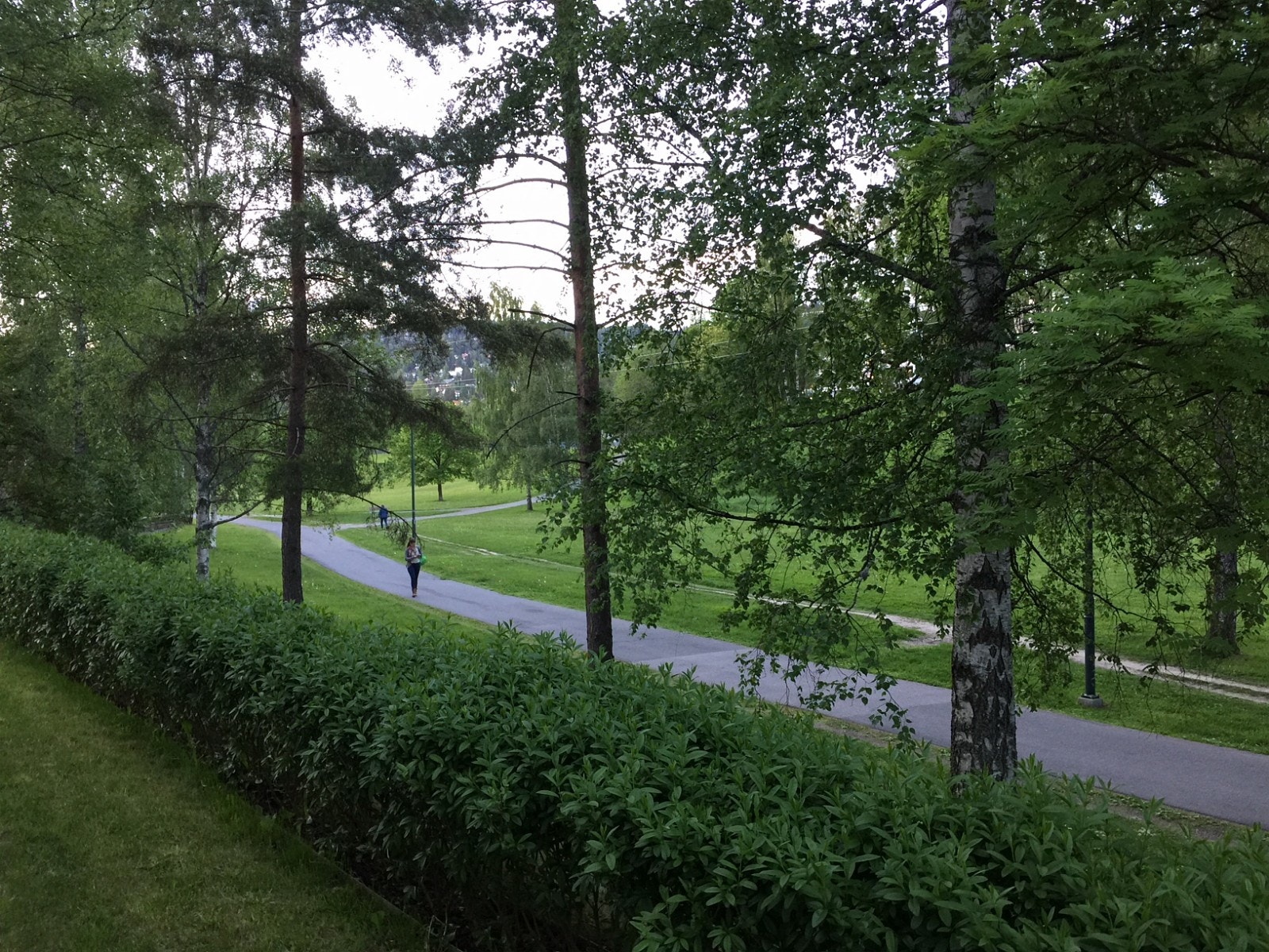 Turvei og grøntområde Galleribilde