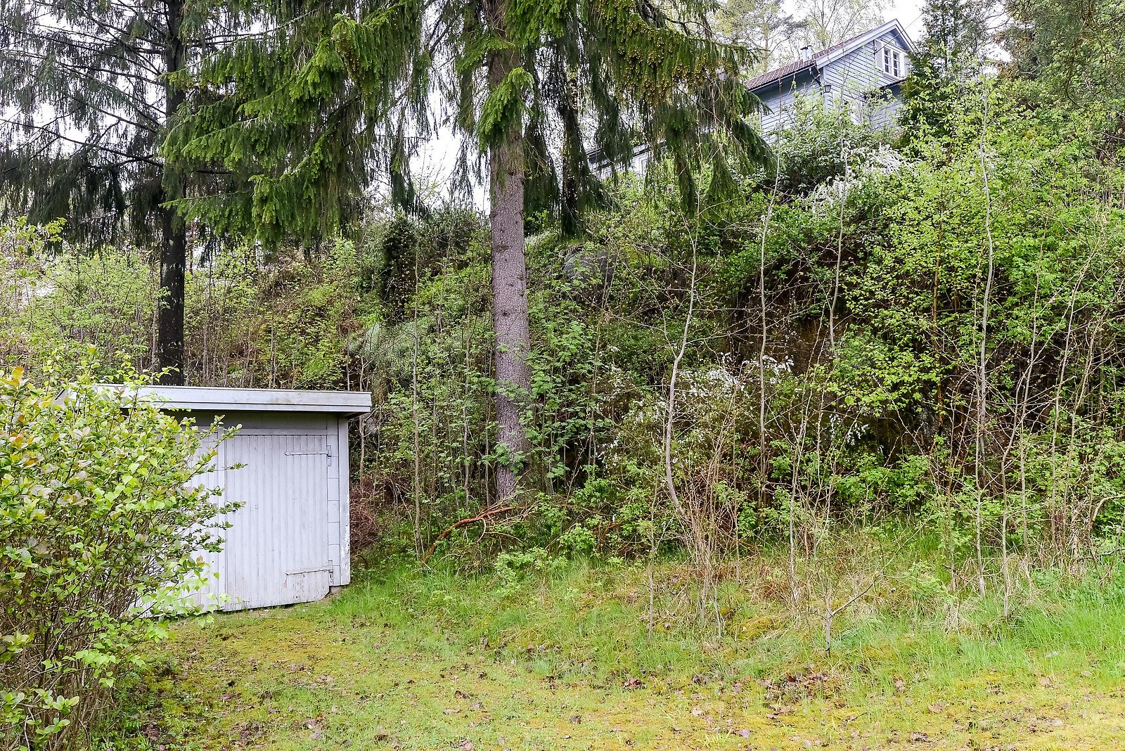 Garasje Galleribilde